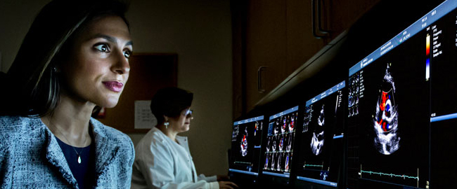 Heart Risk Assessment