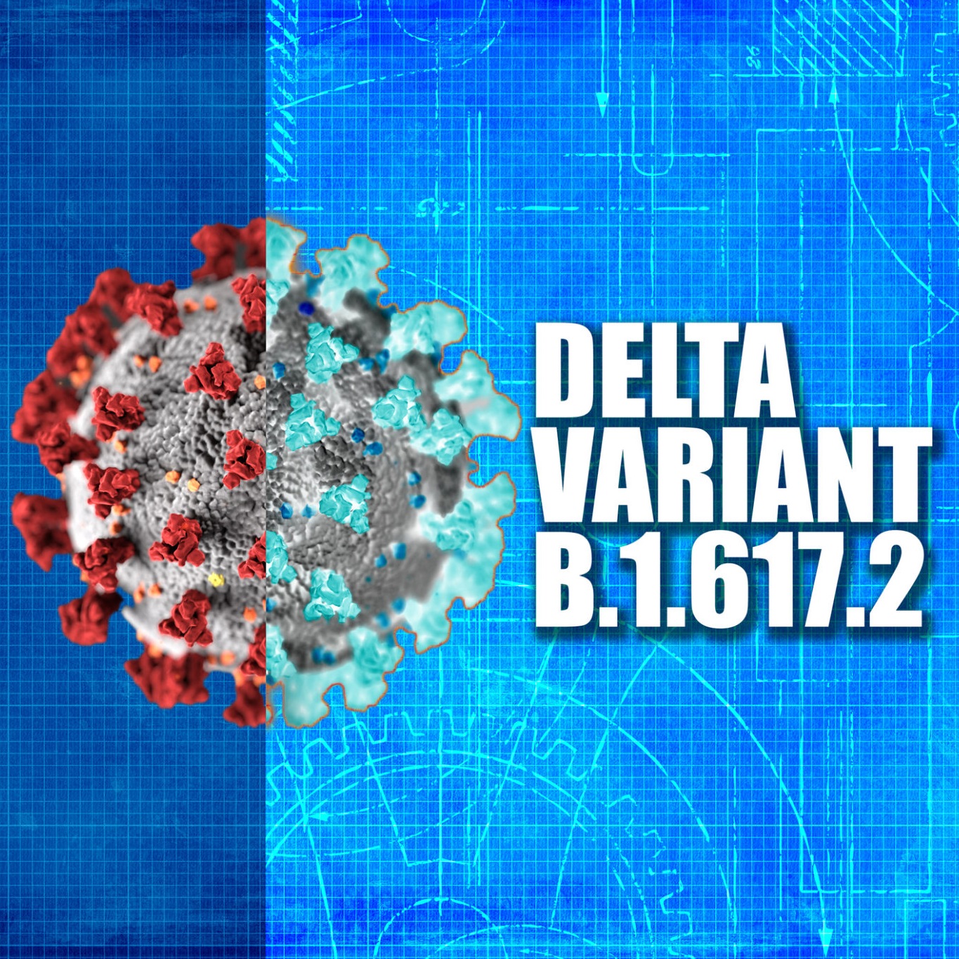 delta covid-19 variant B.1.617.2