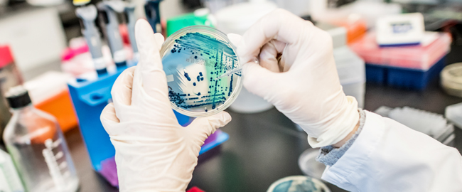 Institute for Quality Science