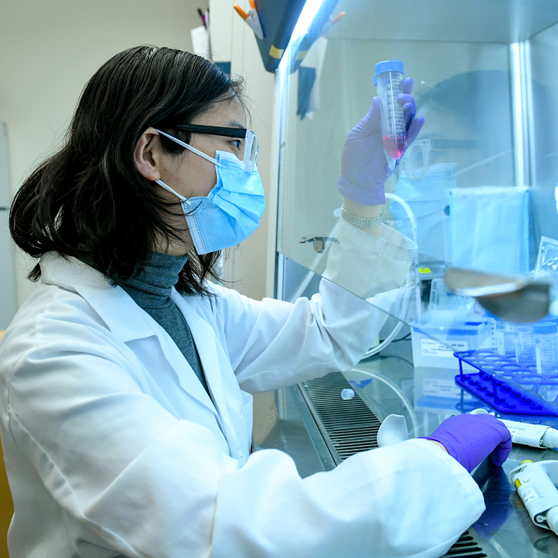 Researcher working with laboratory equipment in a lab.