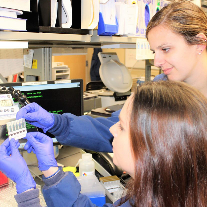 Students working together at Florence M. Cook School of Medical Laboratory Science.