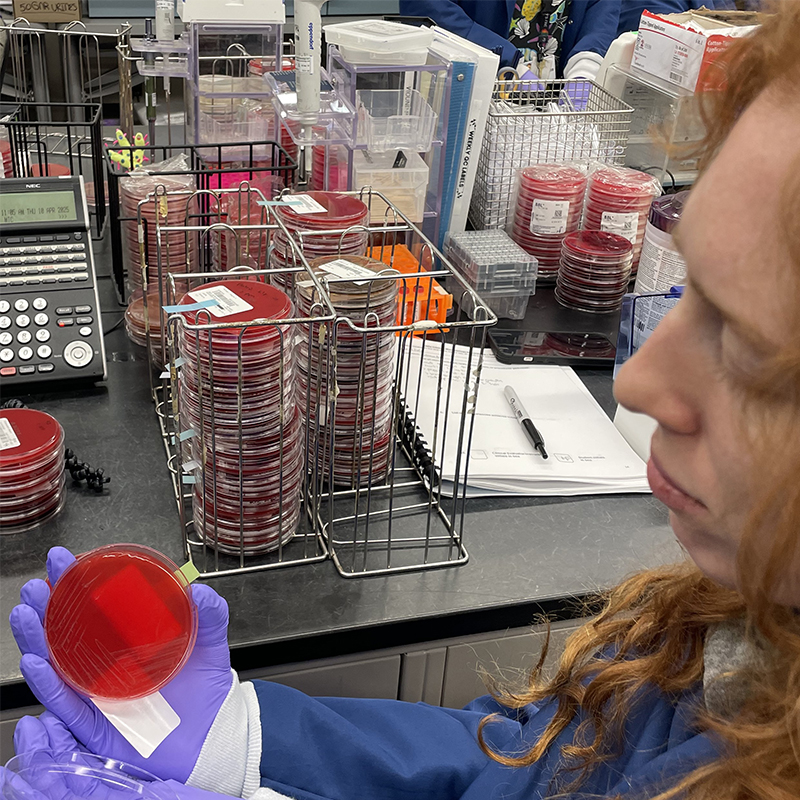 A student in the lab showing a petri dish.
