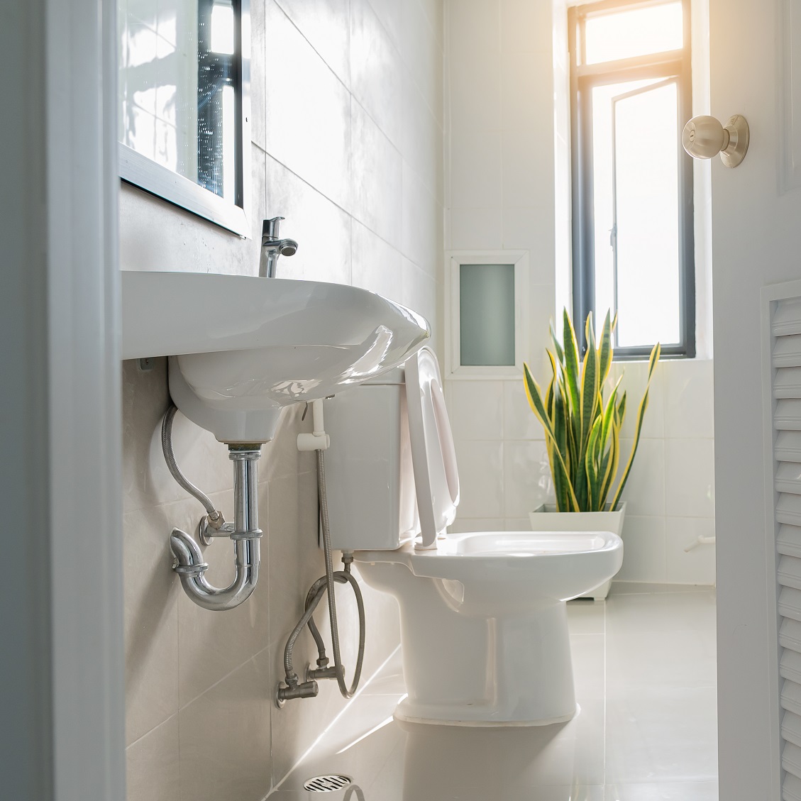 incontinence in women