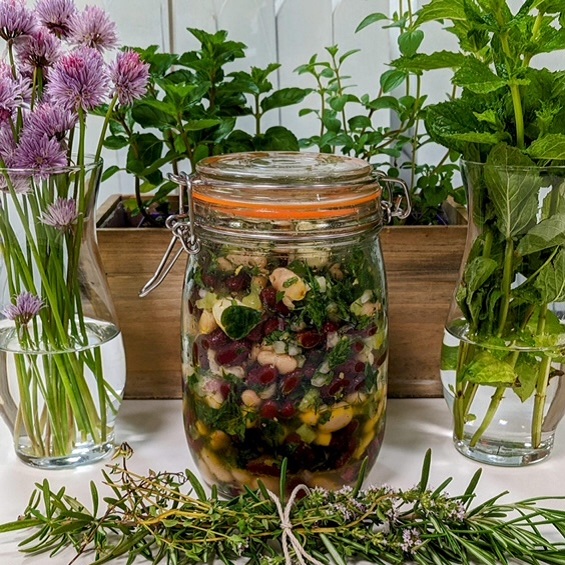 Beans marinating in herbs