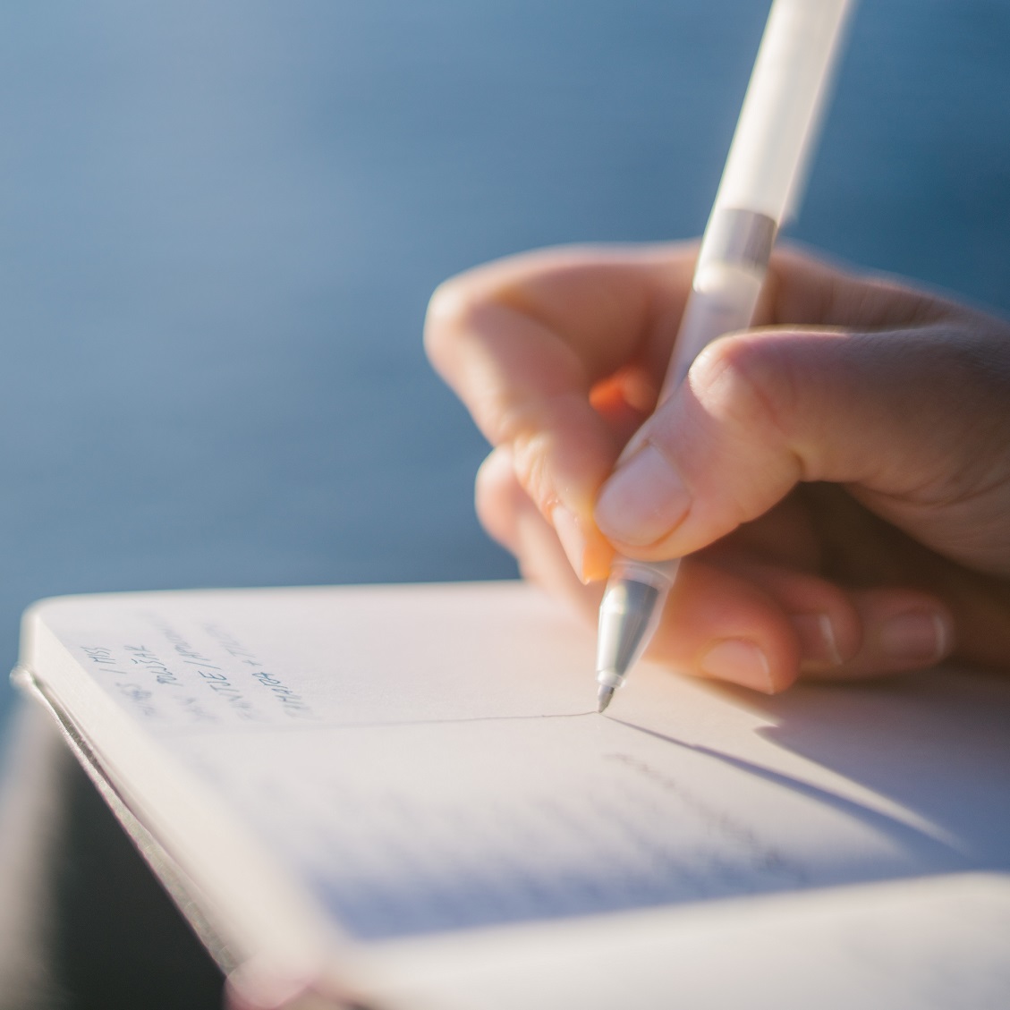 Hand writing in book with pen