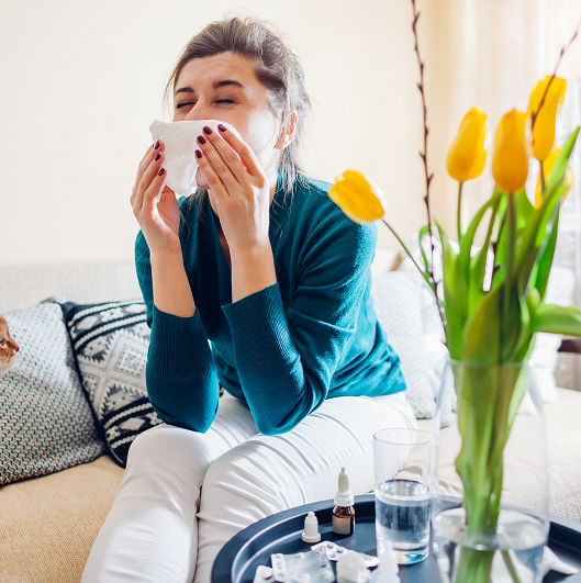 Young woman sneezing into a tissue in her living room from spring allergies