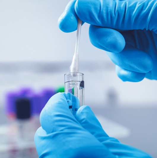 scientist in lab collect dna sample in test tube with cotton swab for genetic testing