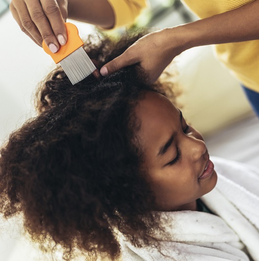 Mother doing head lice cleaning on her daughter curly hair.