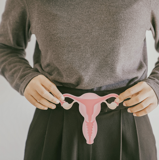 Hands holding uterus for an egg freezing concept.