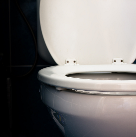 A close-up shot of a toilet.