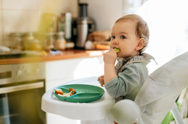 Cute blond baby girl eating a meal while sitting in a high chair.