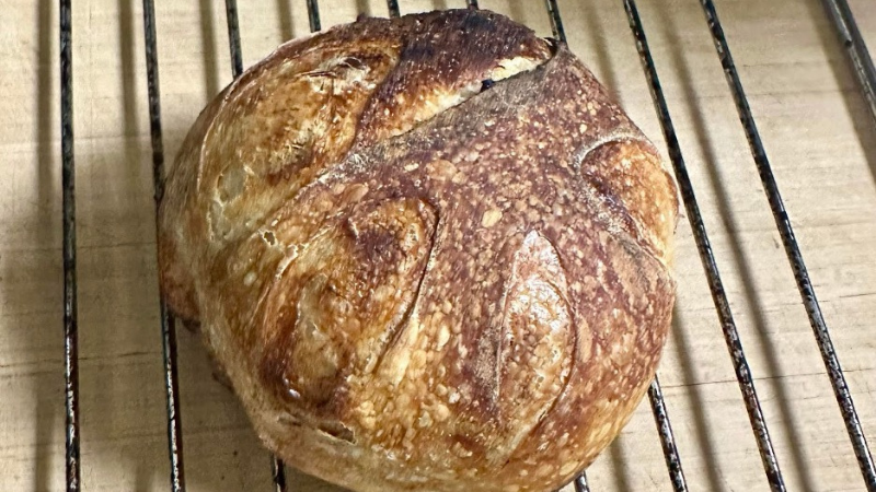 After baking, a sourdough loaf sits on a cooling rack.