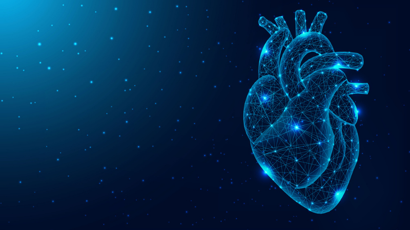 Futuristic digital human heart in space.