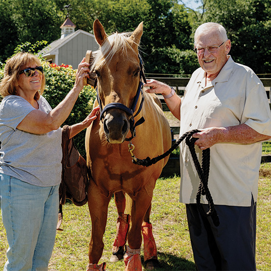 Horse rescuer working on a farm following heart procedure.