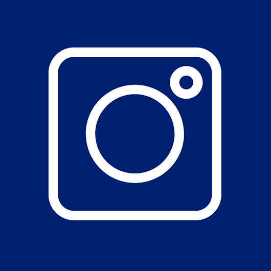 Instagram Icon