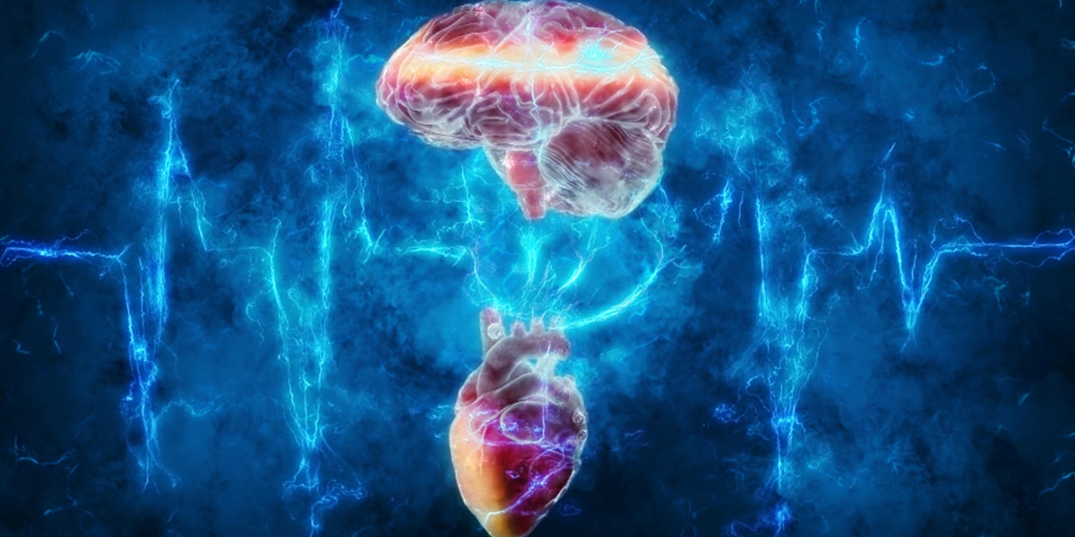 Heart and Brain Center