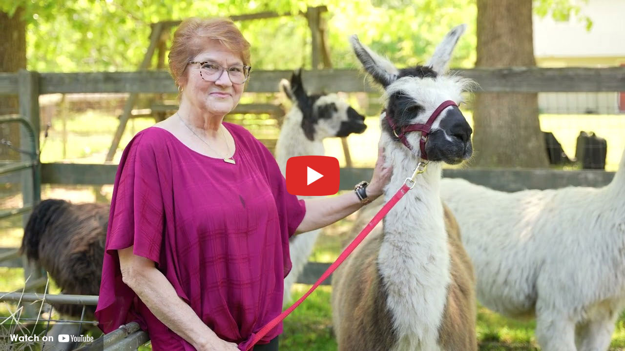 Woman standing outdoors holding a llama on a leash at a fenced farm area