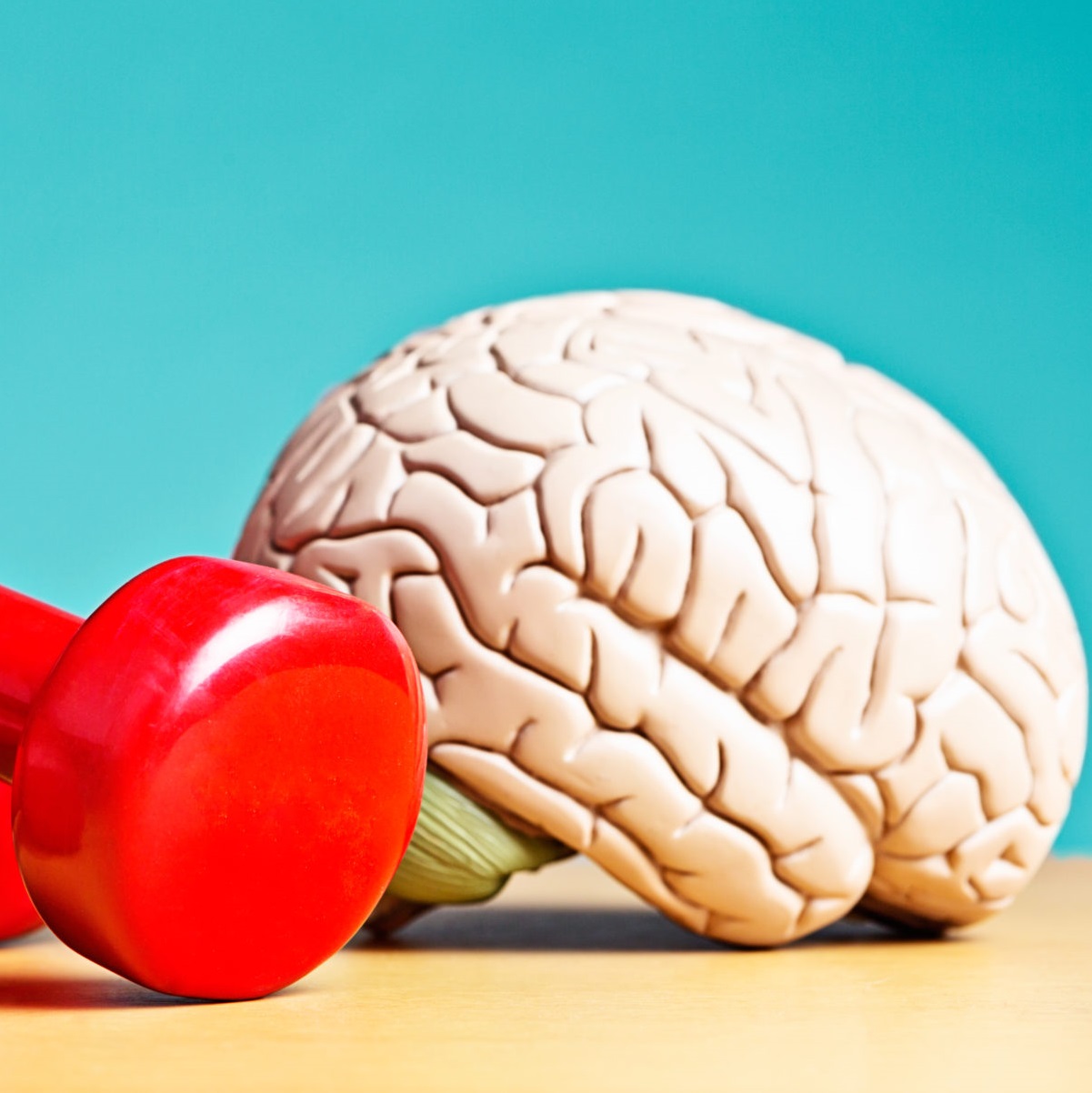 do-brain-training-games-really-boost-brain-power