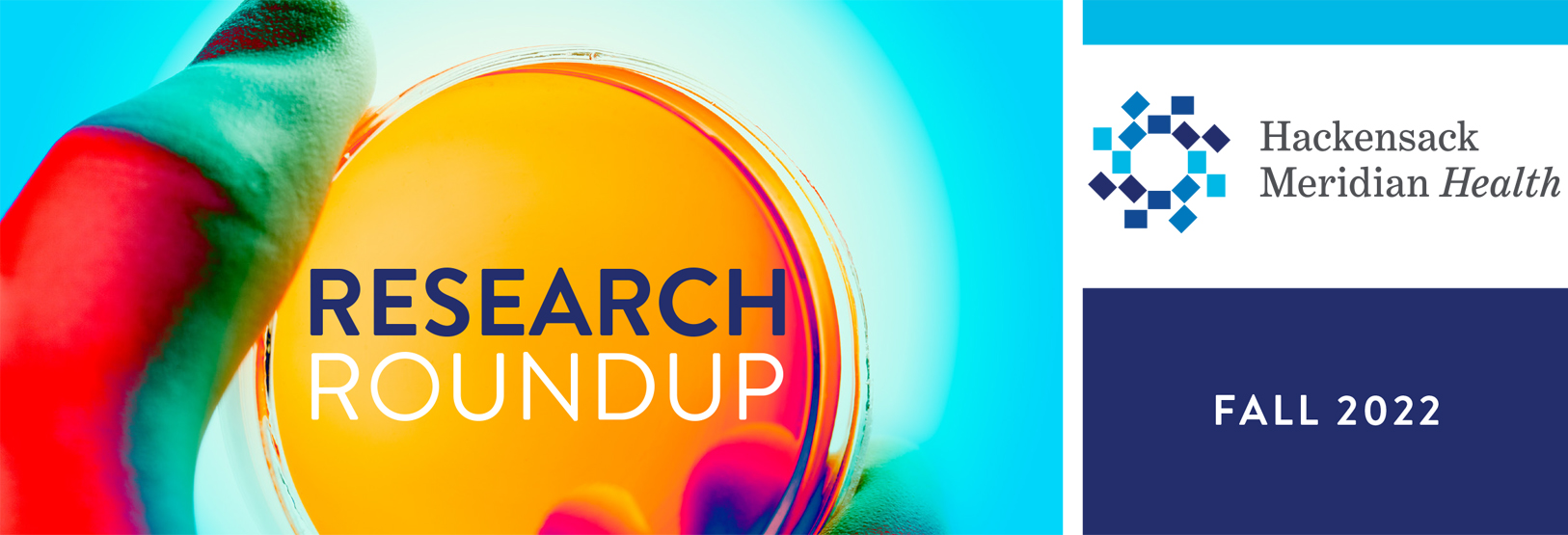 Research Round Up Newsletter Banner Image