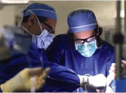 HUMC Structural Heart Fellowship Physicians