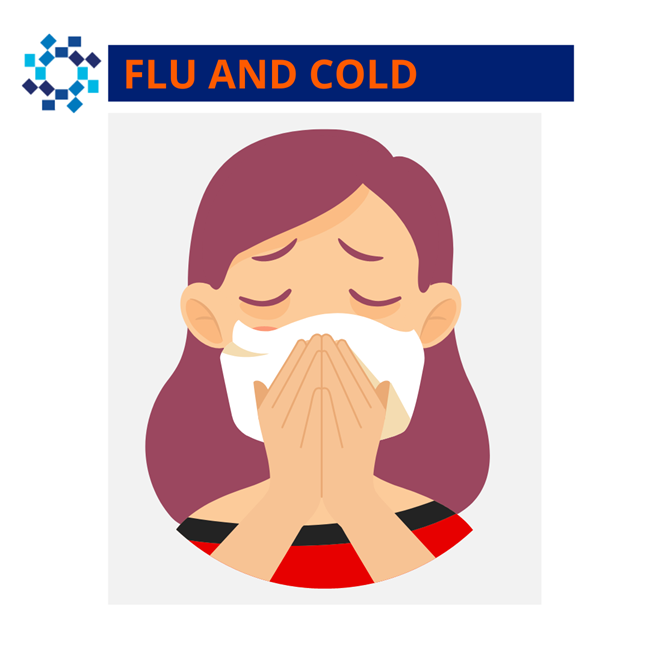 Flu season infographic