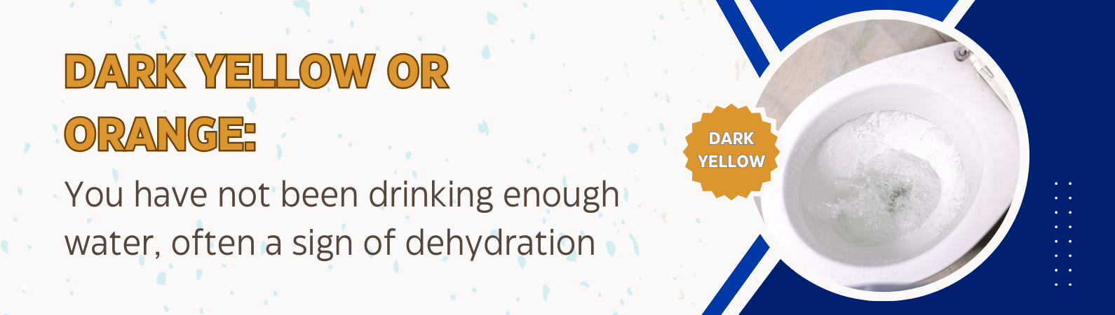 Dark yellow and orange: you have not been drinking enough water, often a sign of dehydration