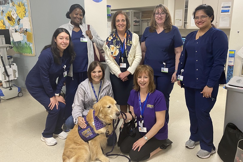 Group of nurses and team members at JFK University Medical Center standing around a pet therapy dog.