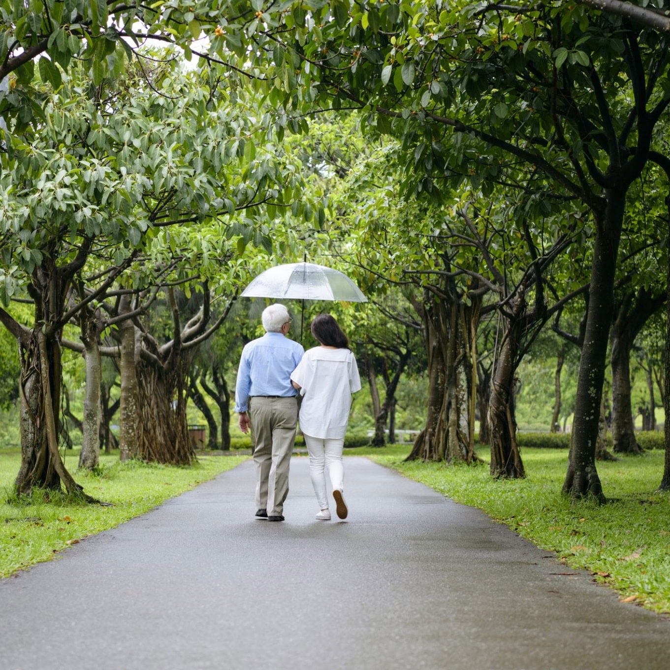 Couple walking throughout trees with umbrella