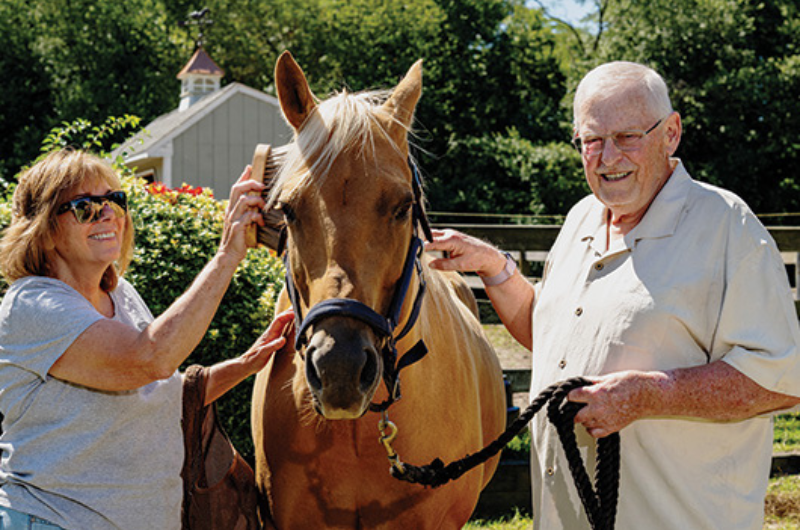 Horse rescuer working on a farm following heart procedure.