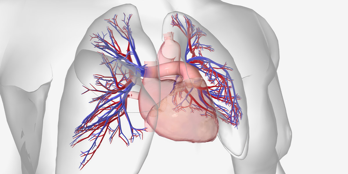Cardiology Innovations l Hackensack Meridian Health